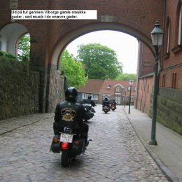 Kultur i og omkring Viborg